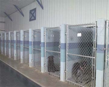 rubber matting for kennels rubber floor mats for kennels stalls linear rubber products rubber matting for kennels rubber floor mats for kennels stalls linear rubber products